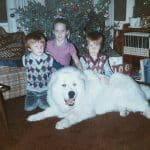 Great Pyrenees | Up North Pyrenees