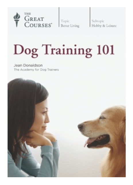 Dog Training, train your puppy, train your great pyrenees puppy