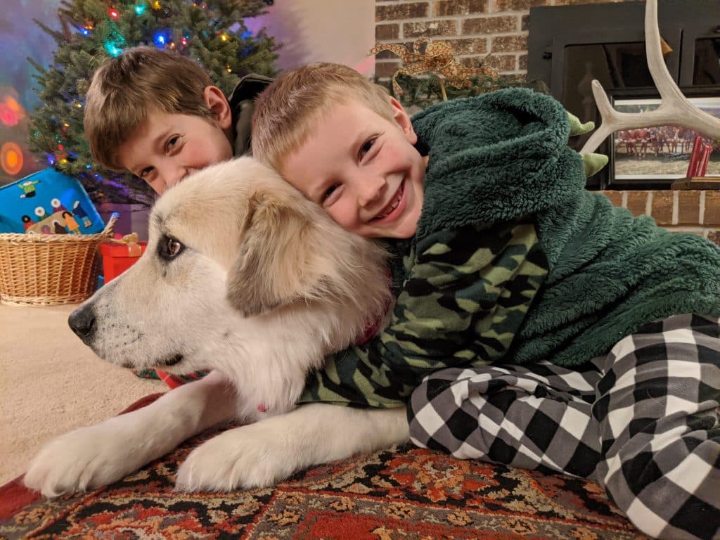 Great Pyrenees with children